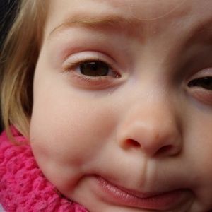 Meet your Posher, Haven rehor